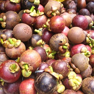 Des arilles de mangoustan