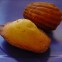 Madeleines sans gluten