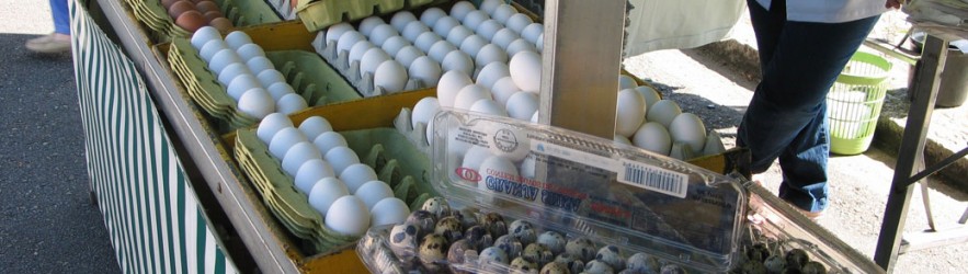 Oeuf : savoir ce que vous achetez