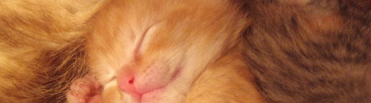 Astuces pour bien dormir et avoir un meilleur sommeil